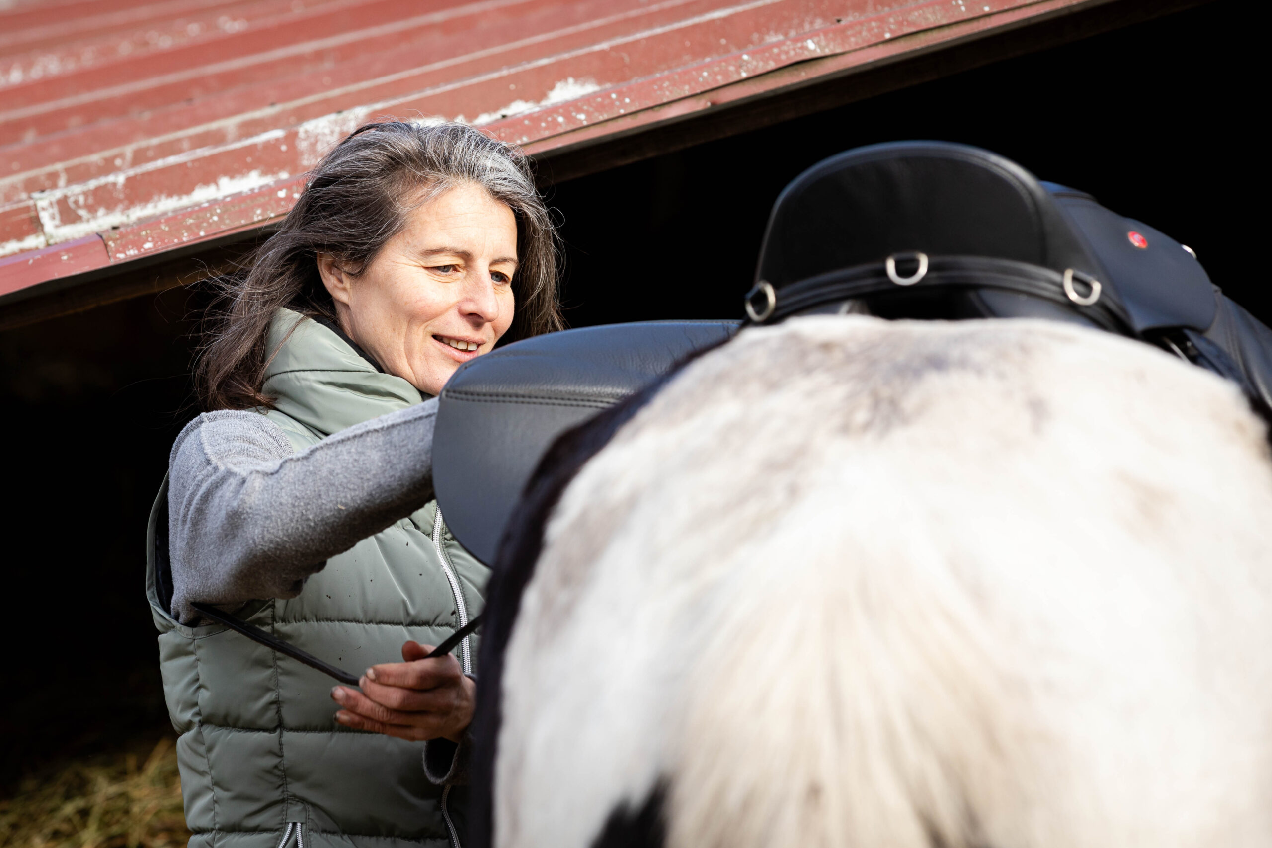 Equitation et médiation, accompagnement personnalisé, ma vision.