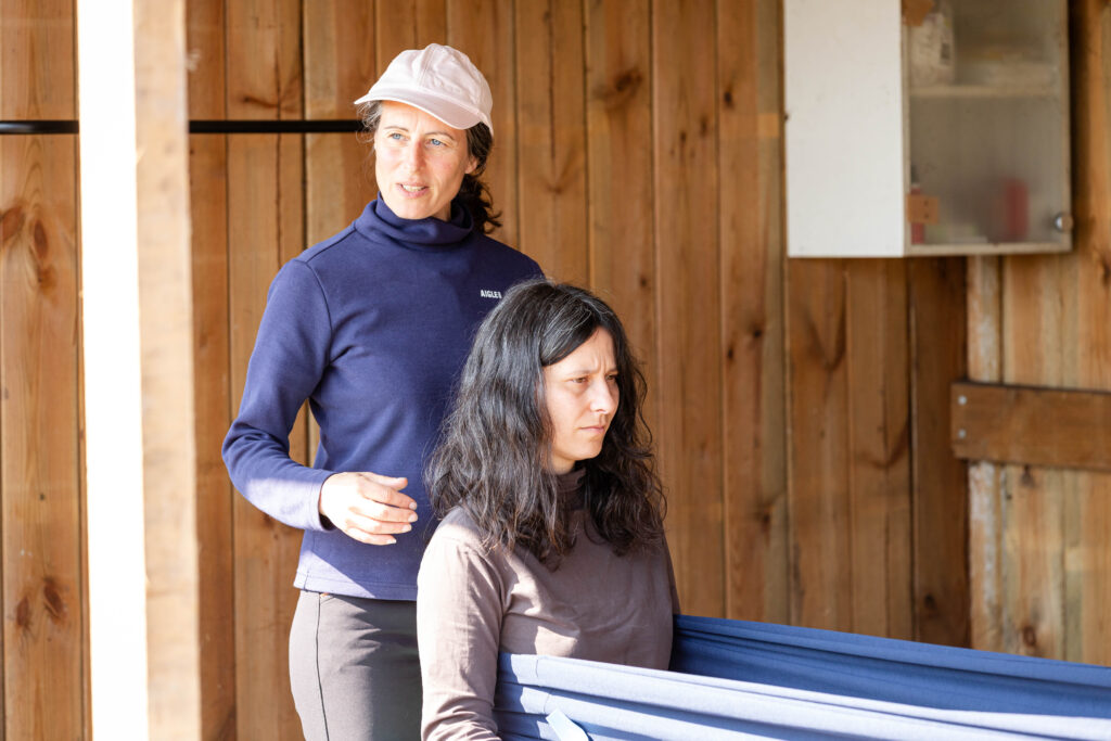 Construction du dos- Equitation 33